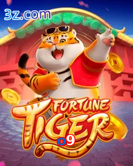 o9 slots online fortune tiger